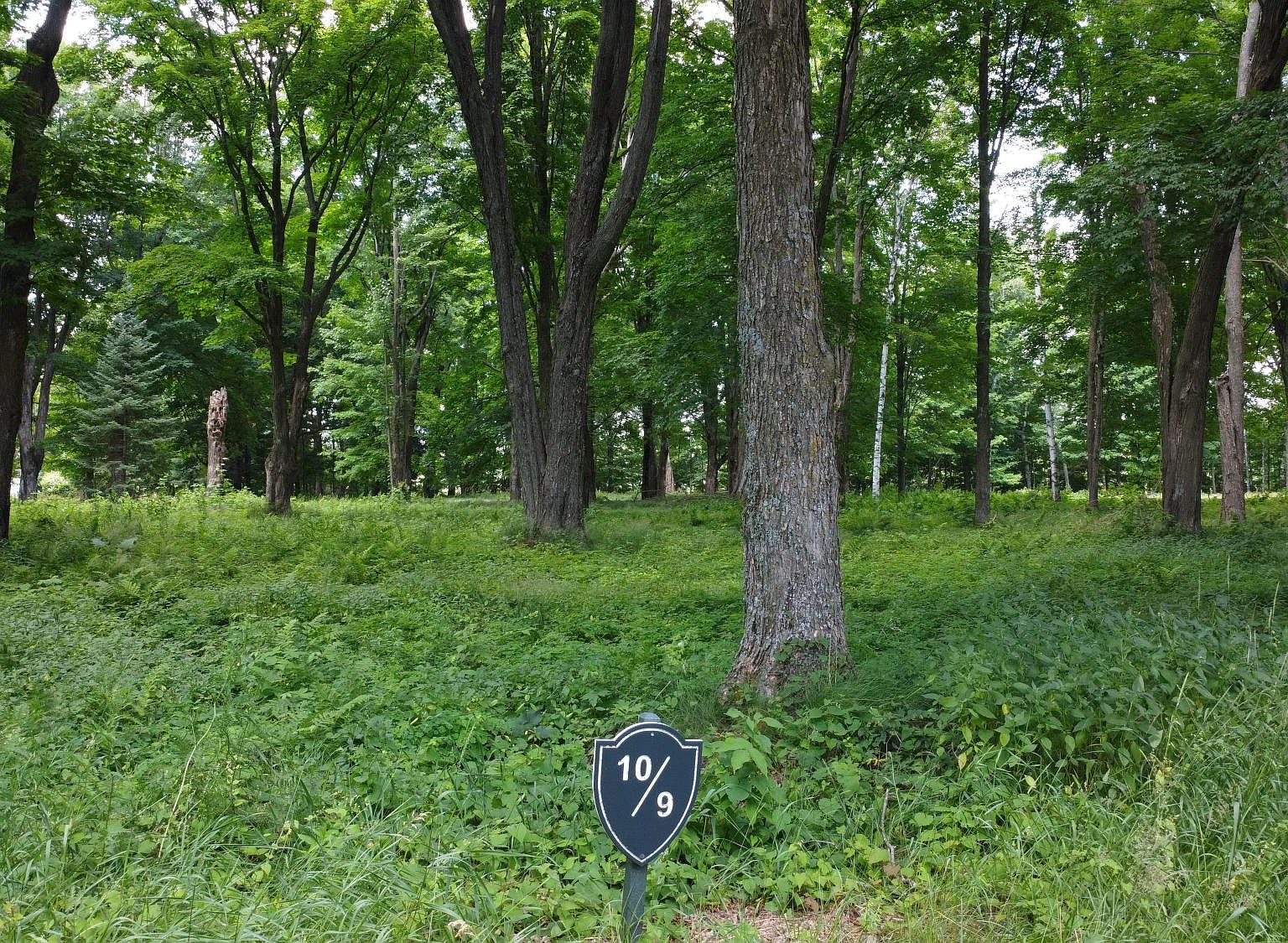 LOT 9 Ackley Lndg