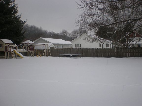 Big Back Yard