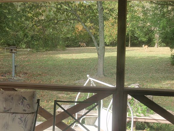Deer frequent from the 3+ acres of woods on the property