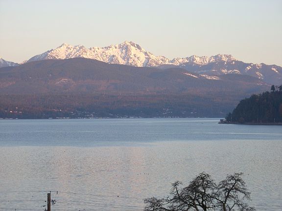 You'll love seeing the bald eagles,seals,boats and occassional Orca