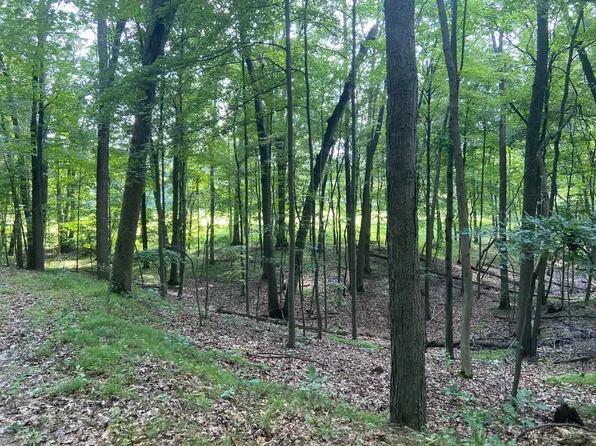 Hough Rd, Dryden, MI 48428