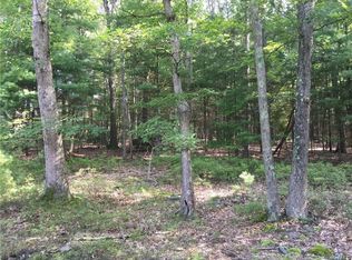 Seitz Rd, Seitz, NY 12719