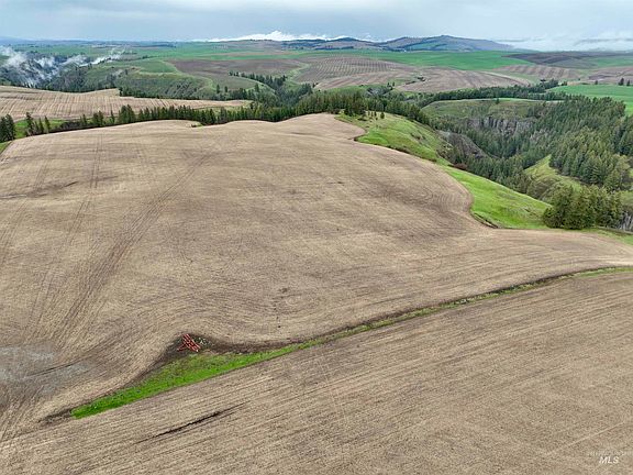 4th image of Younger Rd