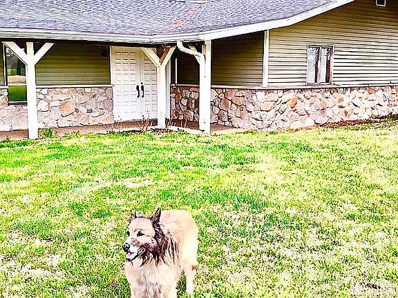Front house-dog not included