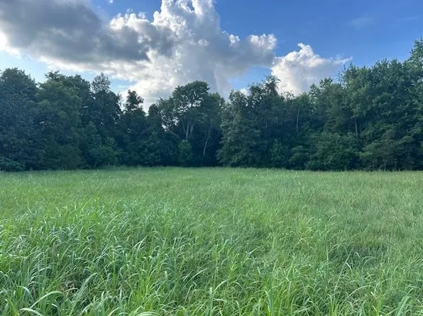 0 S Toohey Ridge Rd, Cave City, KY 42127