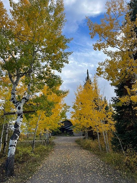 Front driveway to the house.