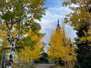 30335 Blue Grouse Ln #2, Steamboat Springs, CO 80487