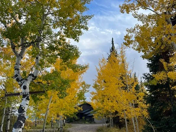 30335 Blue Grouse Ln #2, Steamboat Springs, CO 80487