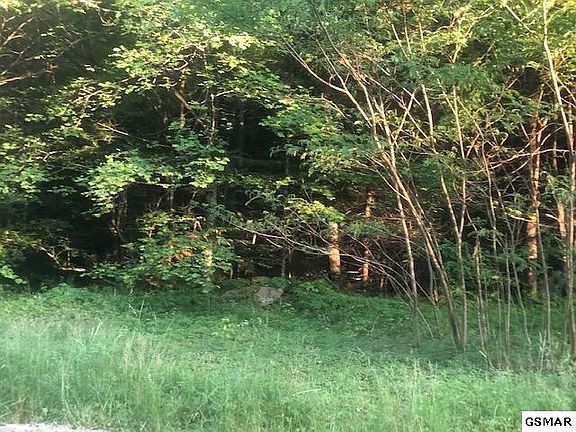 4th image of 4 Johns Branch Rd