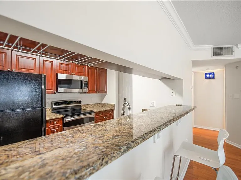 1000 W Horatio St #215 — Photo 10