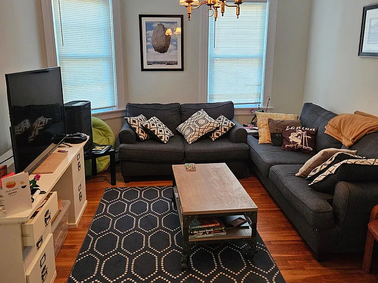 10 Adelphi Ave #2 — Photo 6