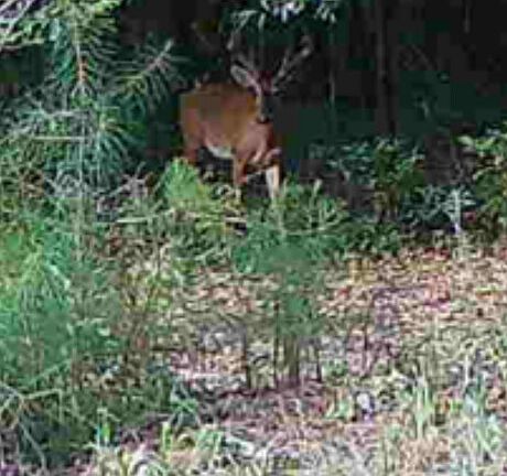 5th image of 1025 County Road 83