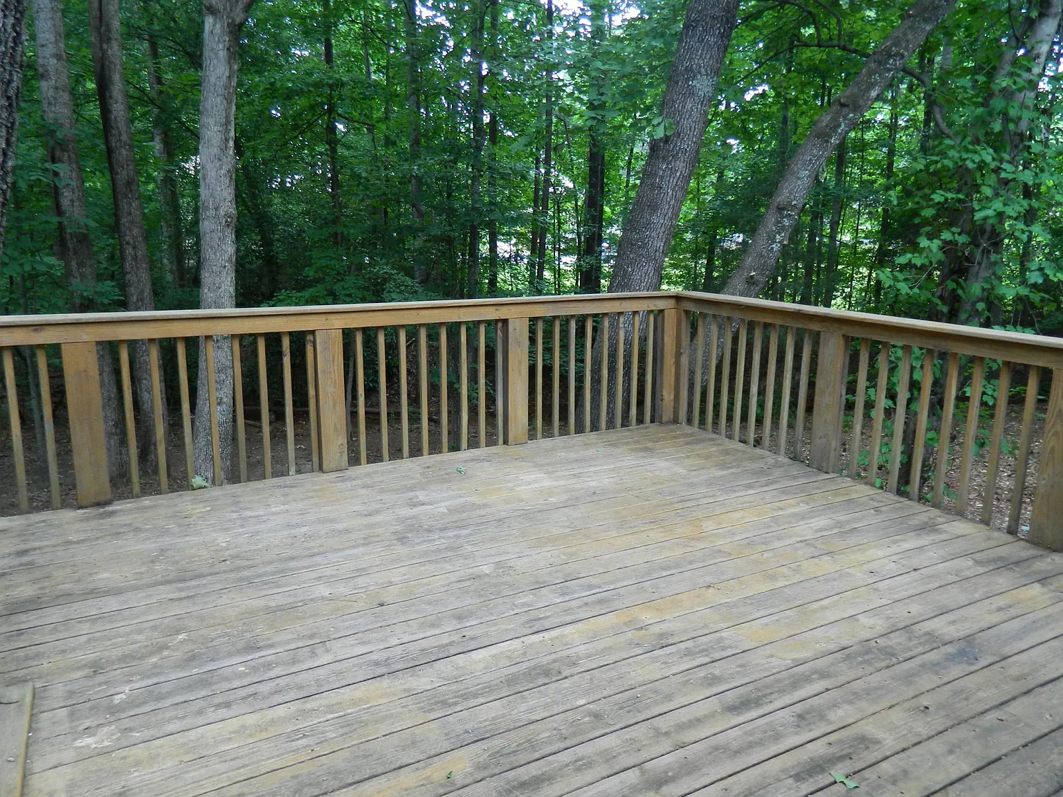 3 bed, 1100 sqft, $1,380 — Photo 4