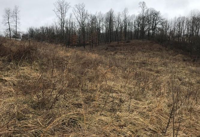 1st image of 520 State Highway 3276
