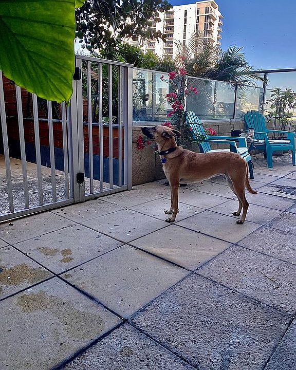 1st image of 3470 E Coast Ave APT H-704