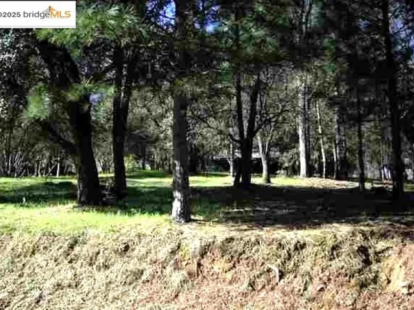 13137 Jackson Mill Dr, Groveland, CA 95321