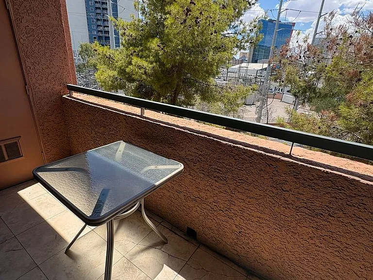 220 E Flamingo Rd #422 — Photo 22