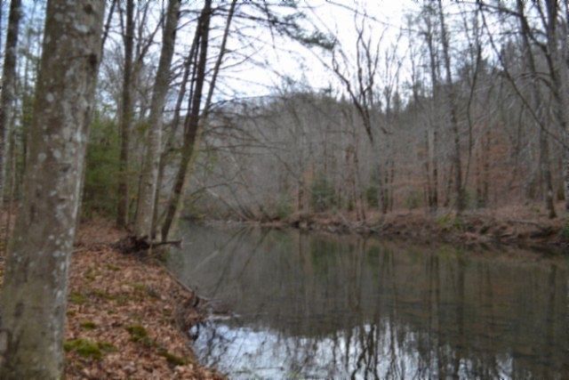 1st image of 0 Steel Tram Rdg Lot 151