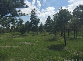 13985 Holmes Rd, Colorado Springs, CO 80908