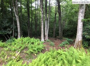 LOT 25 Fireside Ln LOT 25, Blowing Rock, NC 28605