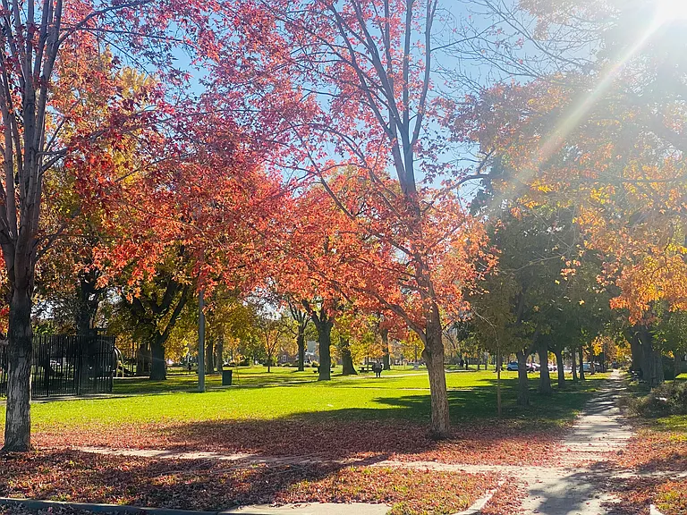 Curtis Park