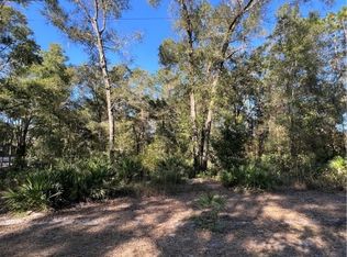 O'Se Pl #179, Summerfield, FL 34491