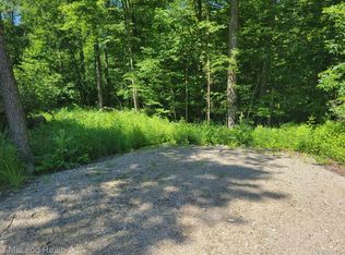 Vl Sheridan Rd, Vassar, MI 48768