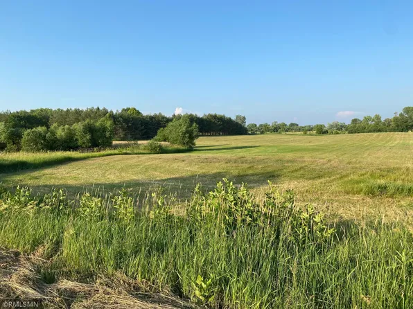 10001 748th Ave, Dassel Twp, MN 55325