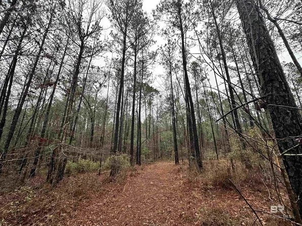 4549 Jp Howard Rd, Tibbie, AL 36583