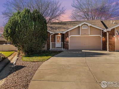 1245 Honeysuckle Ct, Windsor, CO, 80550