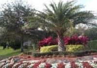 1st image of 9430 Poinciana Pl APT 408