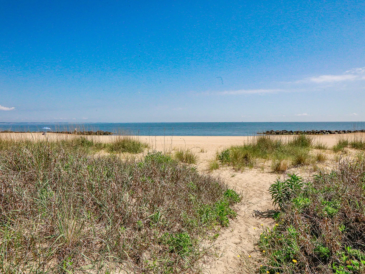 2 bed, 800 sqft, $2,700 — Photo 4