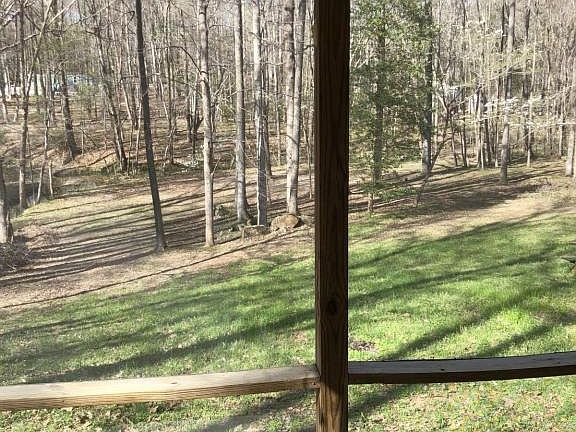 4th image of 139 Bunker Ct