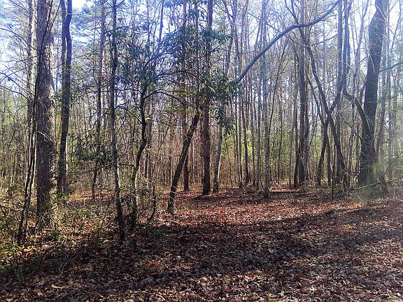 4th image of LOT 4A Long Branch Ln Lot 4A
