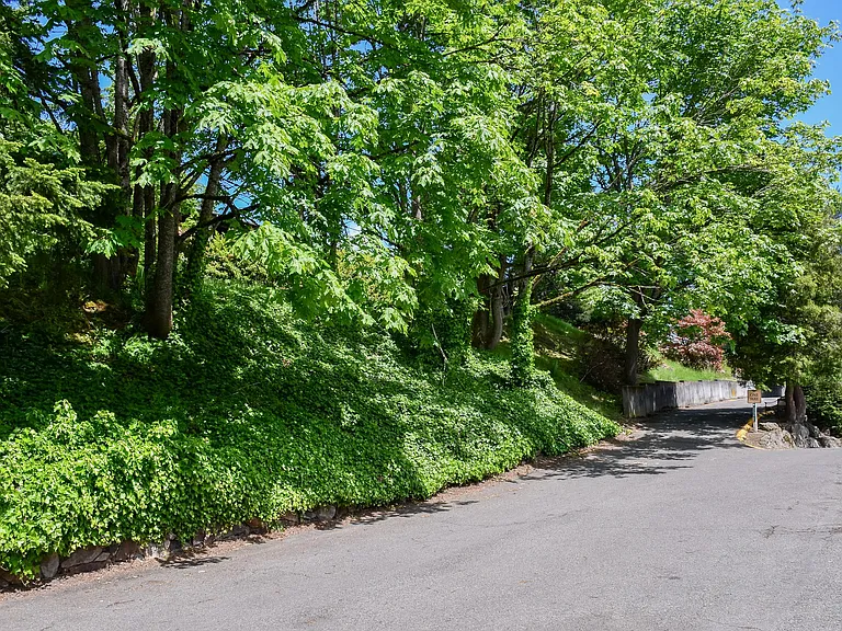 Greentree — Photo 36