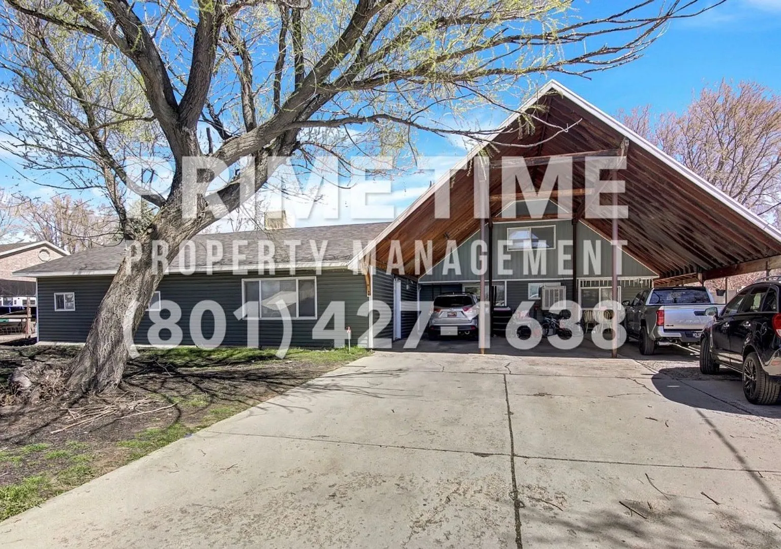 AJ Payne 4 Plex — Photo 1