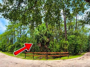 1930 OLD TRAIN ROAD LOT 20, DELTONA, FL 32738