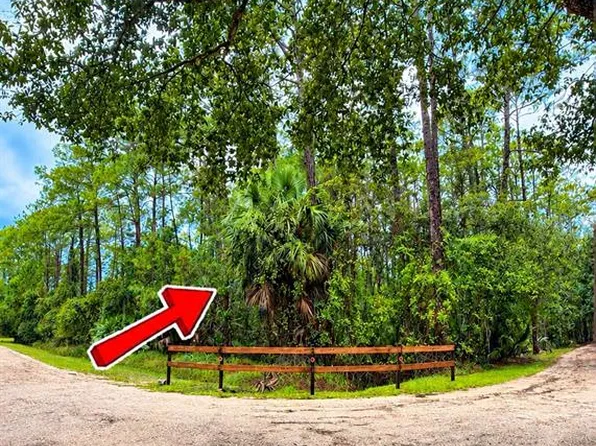1930 OLD TRAIN ROAD LOT 20, DELTONA, FL 32738