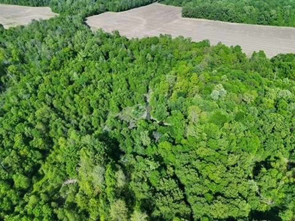 Dji 20260426172246 0005 V