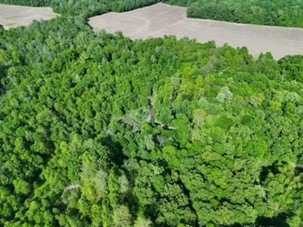Sheffield Ln, Centertown, KY 42328
