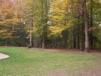 2nd image of 88 Lupine Ln