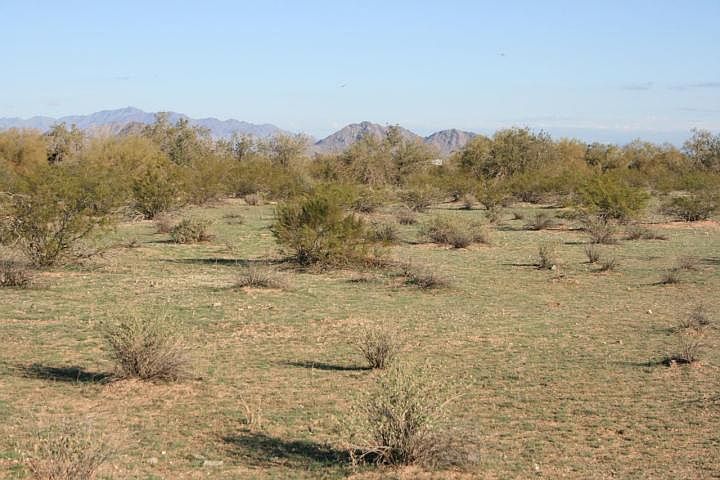 2nd image of 000 W Century Road #006