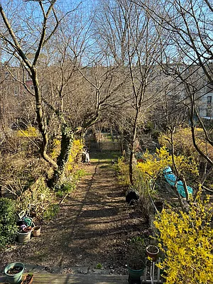 Rented by Compass | media 15