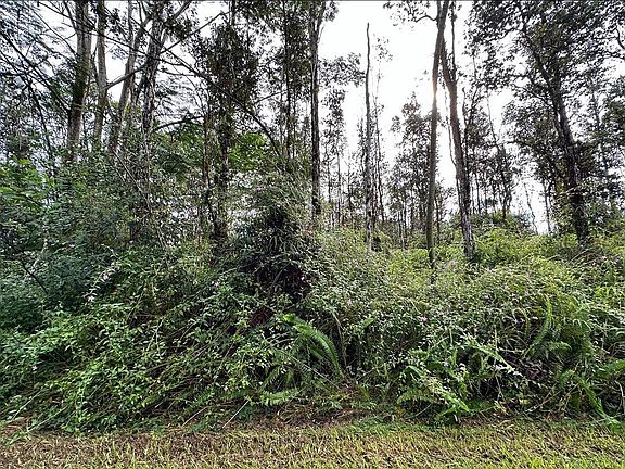 4th image of 14-881 Flower Rd Lot 401