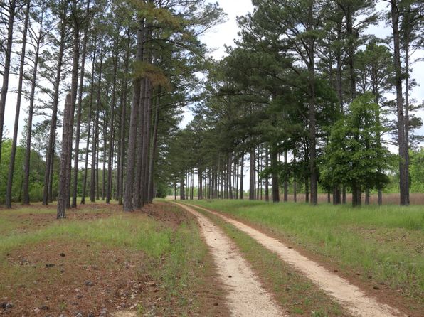7534 County Road 17, Hayneville, AL 36040