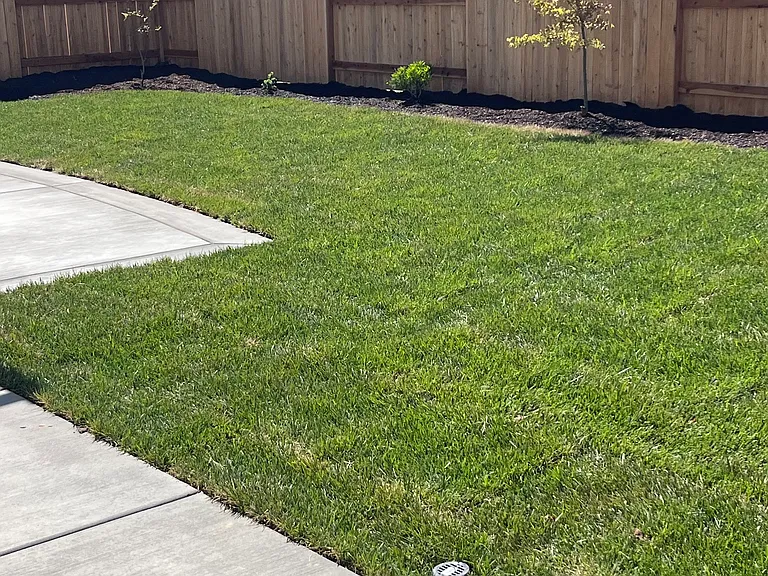 1072 Silverado Way — Photo 18
