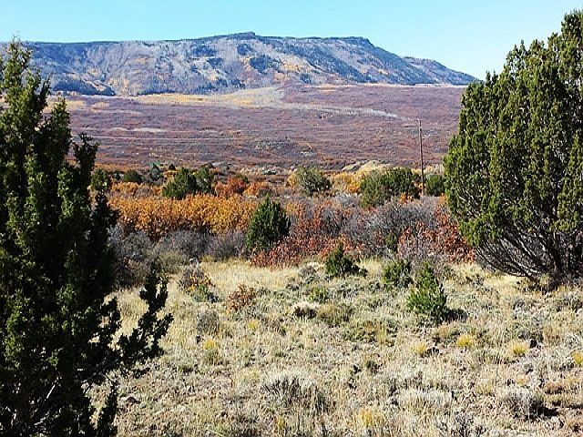1st image of 65 Tbd Hwy