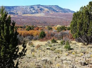 65 Tbd Hwy, Mesa, CO 81643