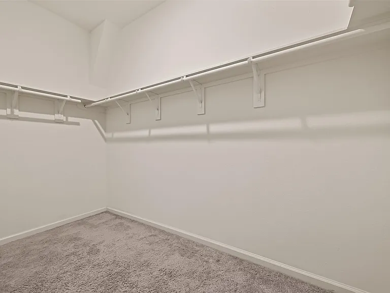 1037 Lacebark Pine Ln — Photo 30