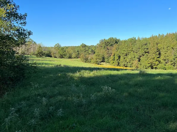 County Road 4705, Troup, TX 75789